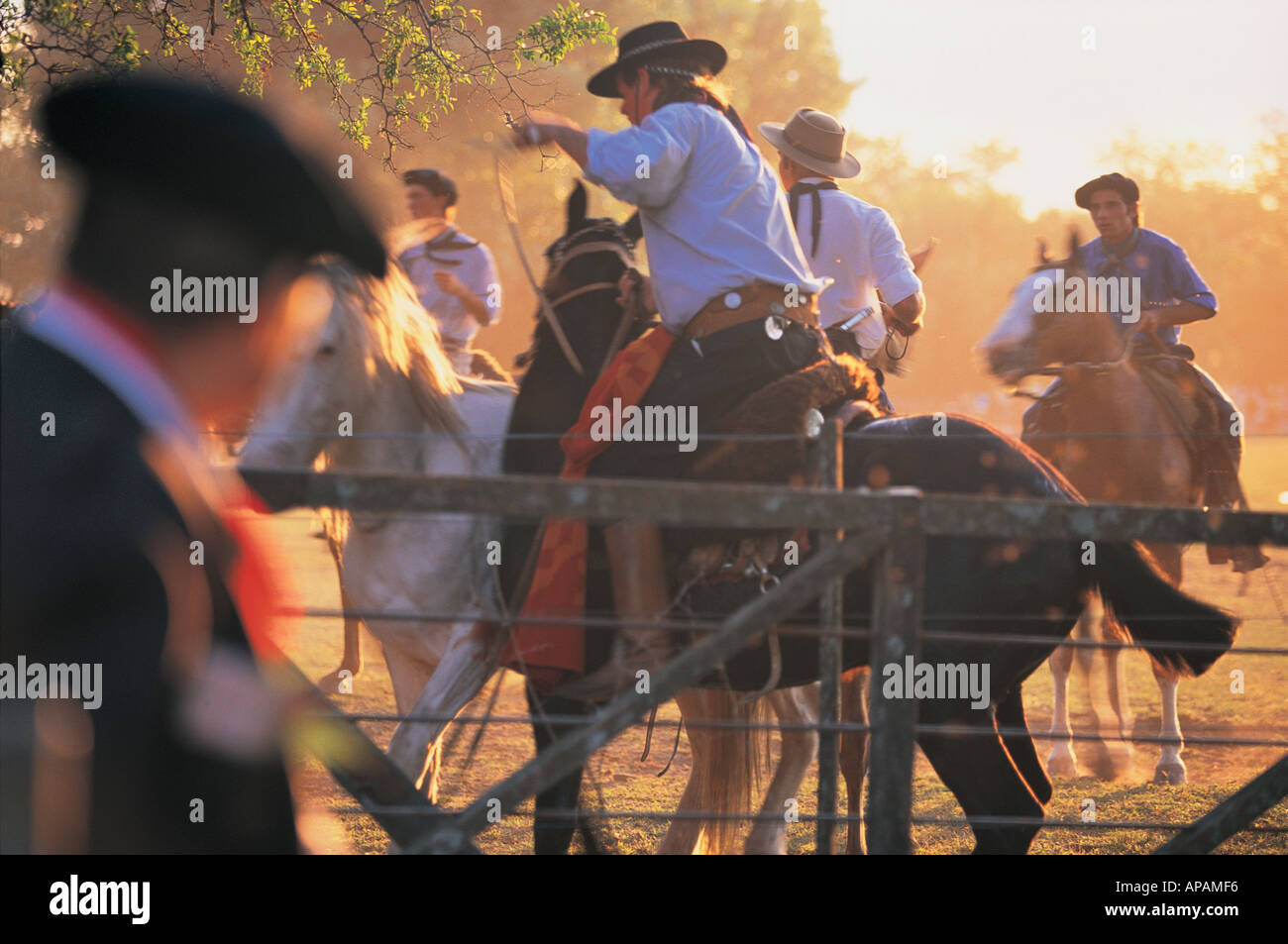 Gaucho-Festival San Antonio de Areco-Argentinien-Südamerika Stockfoto