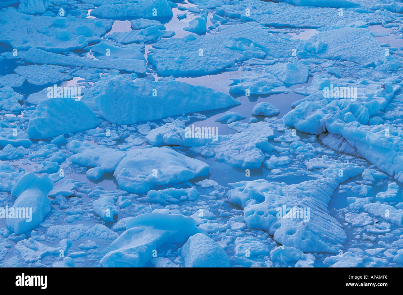 Eisberge Perito Moreno Gletscher Argentinien Südamerika Stockfoto