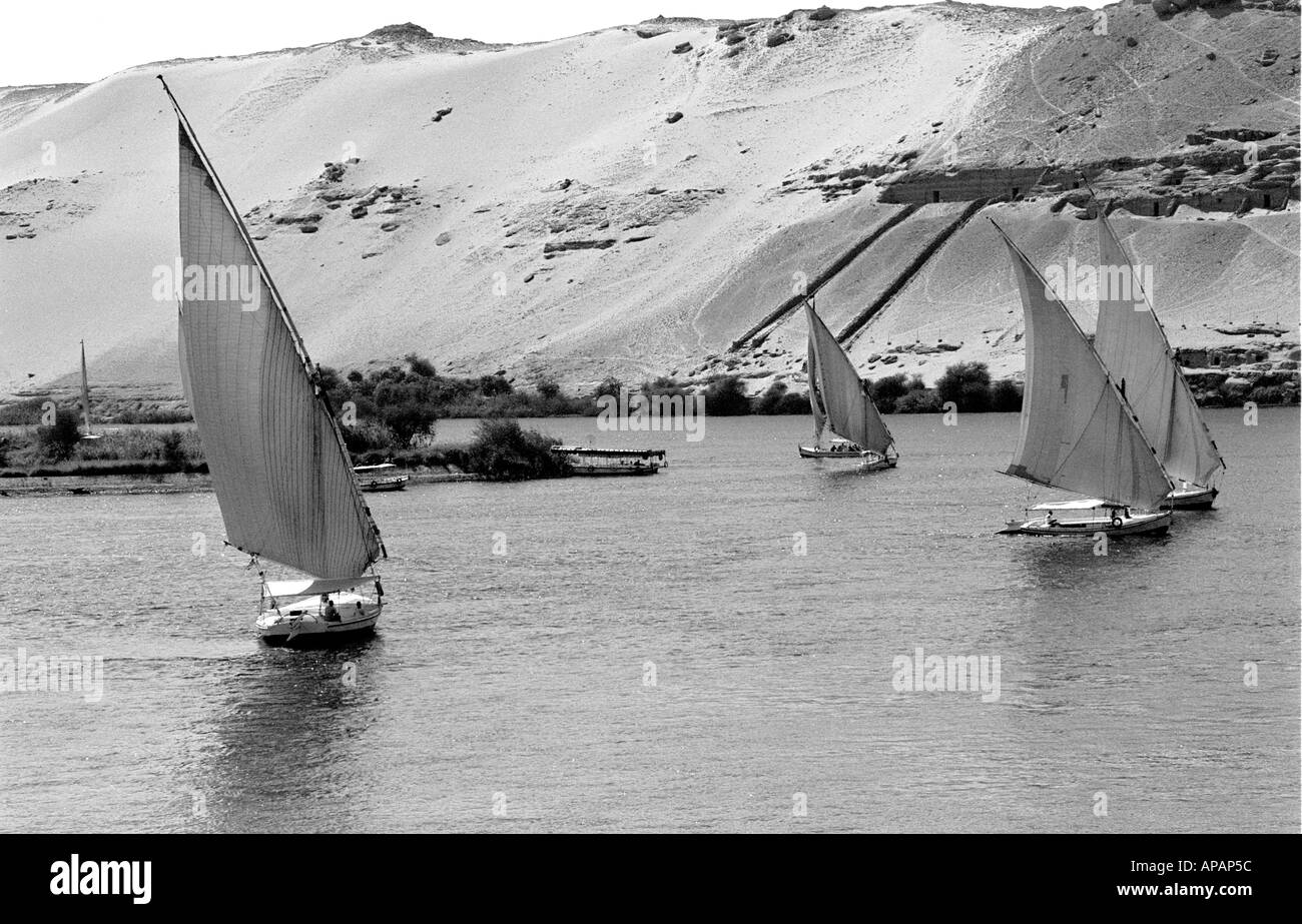 Ägypten-Feluken auf dem Nil bei Assuan Feluken Boote Stockfoto