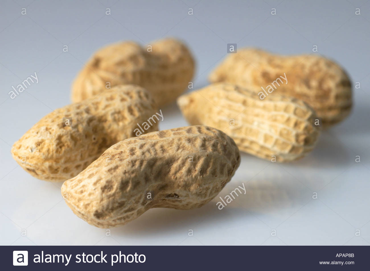 Erdnüsse in der Schale Stockfotografie - Alamy