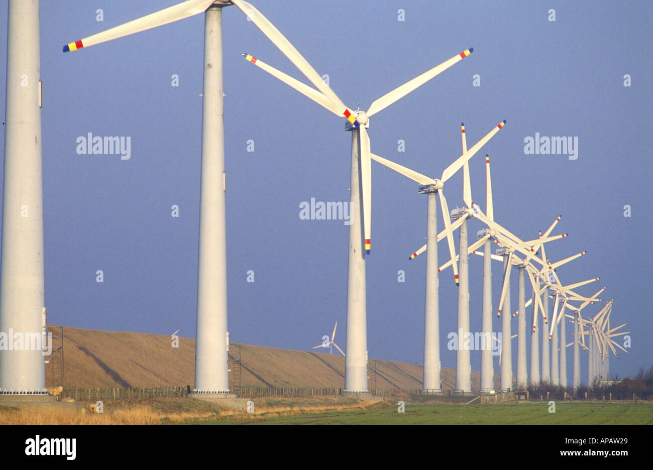 Windkraftanlagen an der Küste von Nordfriesland in Norddeutschland Stockfoto