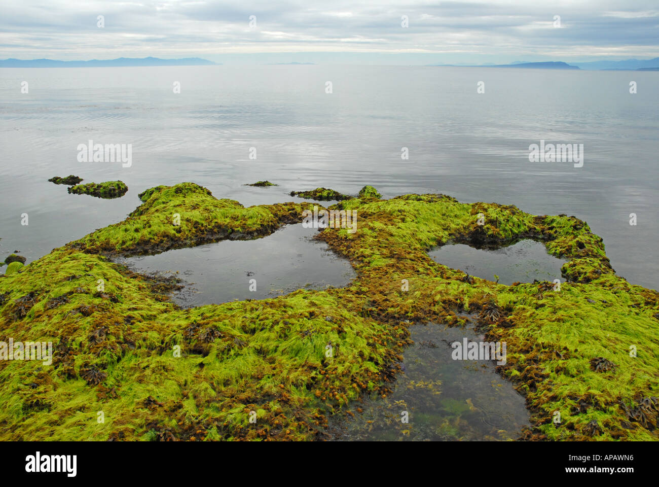 Ruhige Atmosphäre an der Küste von Vancouver Island Stockfoto