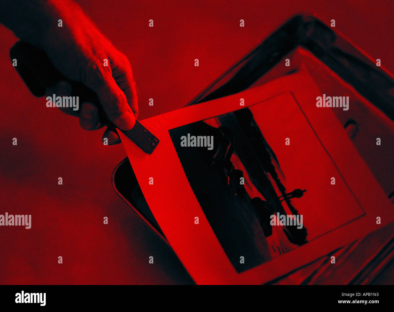 Ein Foto in einem dunklen Raum entwickelt Stockfoto