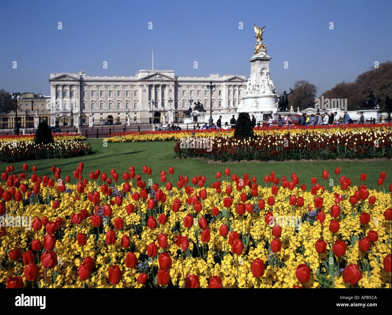 London Frühling Anzeige der Tulpen vor Victoria Memorial & östlich vor Buckingham Palace, offizielle Londoner Residenz der britischen Monarchen England Großbritannien Stockfoto