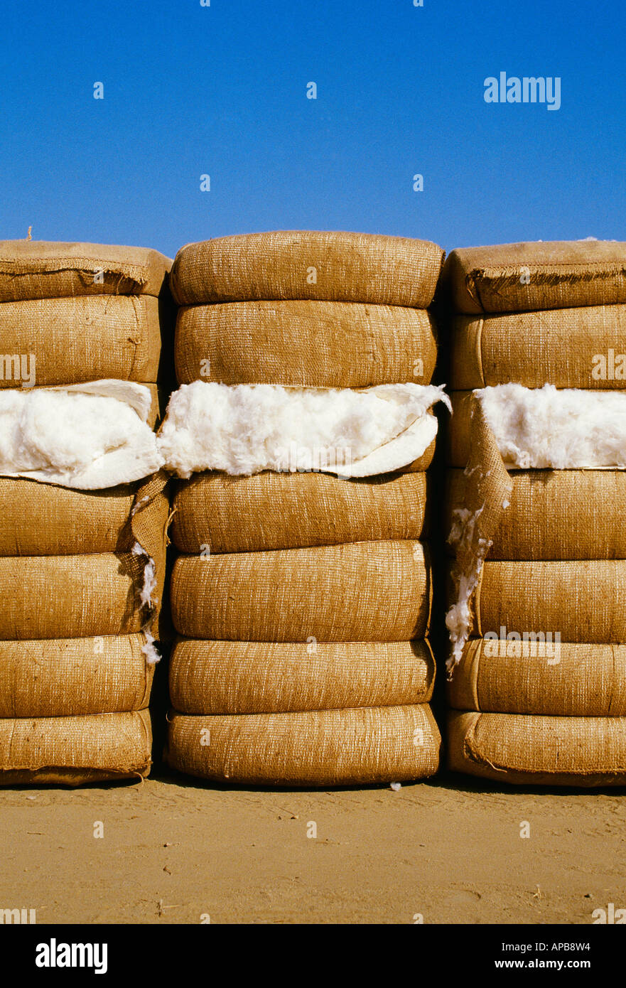 Landwirtschaft - Ballen Baumwolle sind bei einem Cotton Gin Storage aufgereiht Acala Hof / Kern County, Kalifornien, USA. Stockfoto