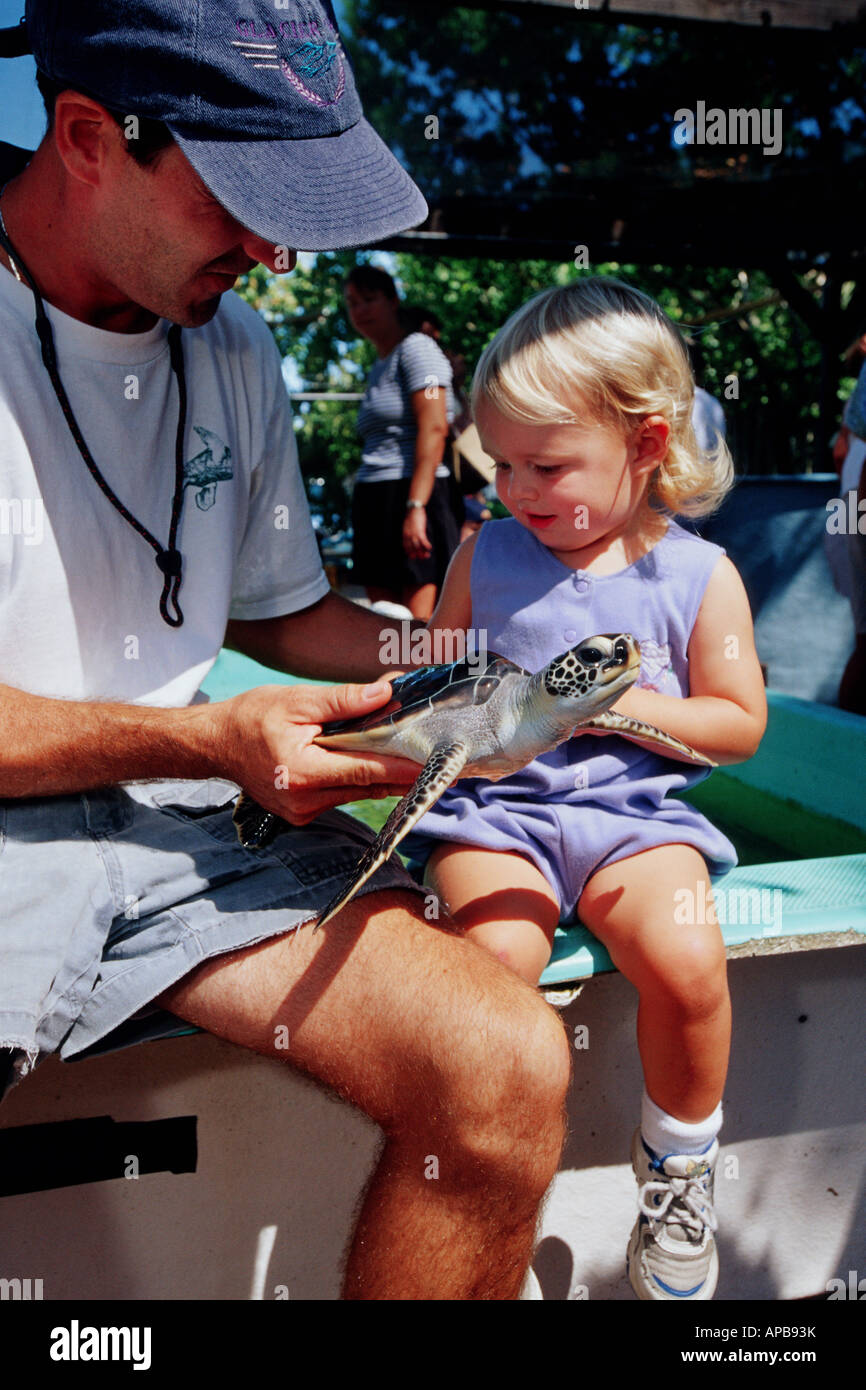 Meeresschildkröte-rehabilitation Stockfoto