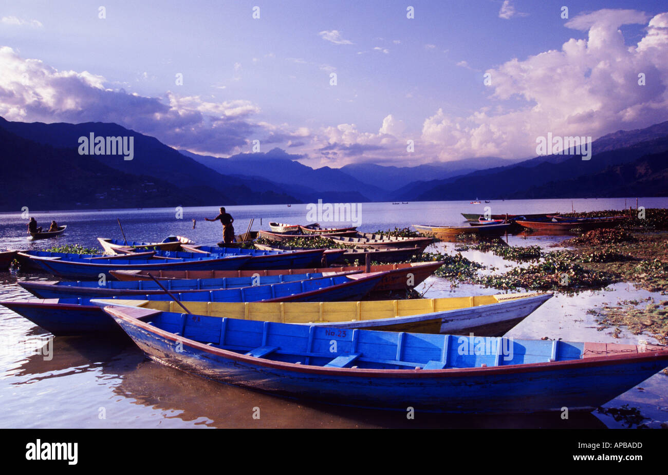 Holzboote am Ufer des Sees Phewa Tal, Pokhara, Nepal Stockfoto