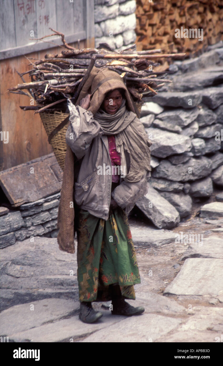 Nepali Kind Mit Brennholz Kinder Nepal Dritten Welt Entwicklungslander Naturlichen Ressourcen Erhaltung Energiefragen Stockfotografie Alamy