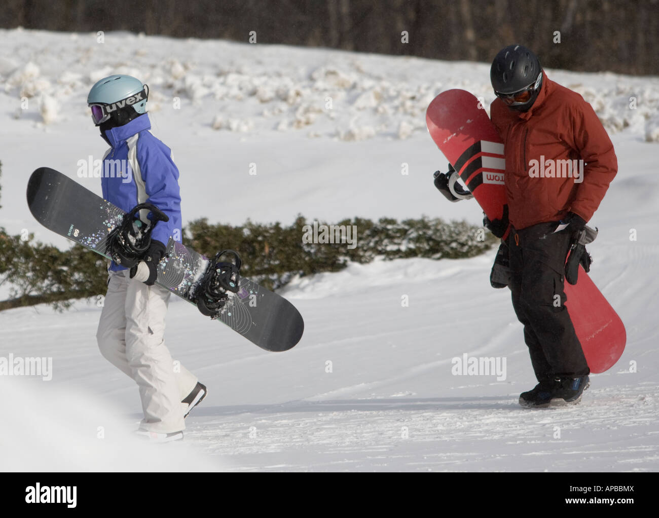 Snowboarder, die mit ihren Brettern zu einem Hang Stockfoto