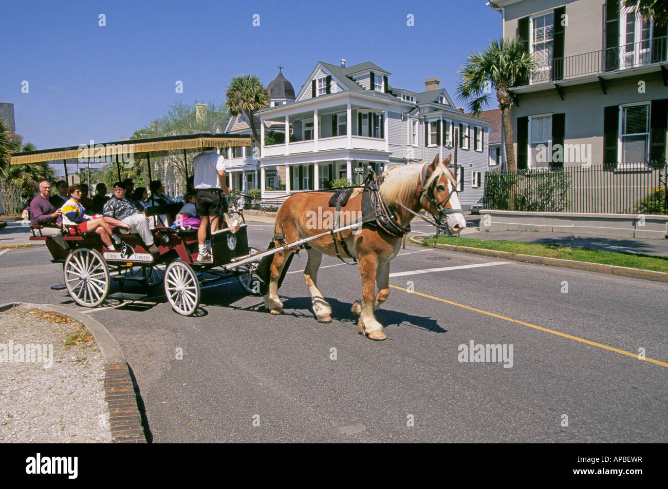 Eine Pferdekutsche bringt Besucher auf einen Rundgang durch den historischen Bezirk von Charleston Stockfoto