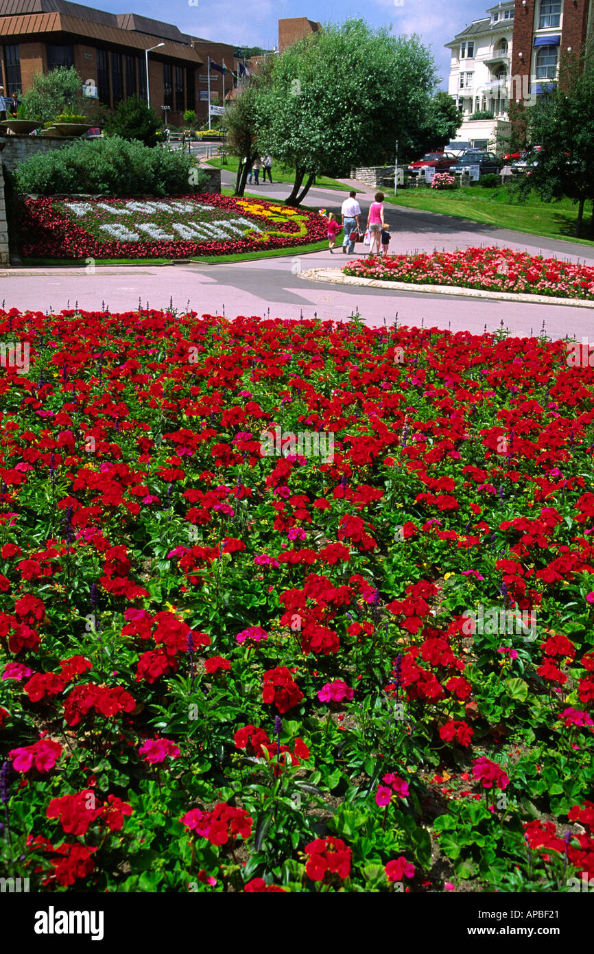 Rote Geranien Blumen im unteren Gärten-Bournemouth-Dorset-England Stockfoto