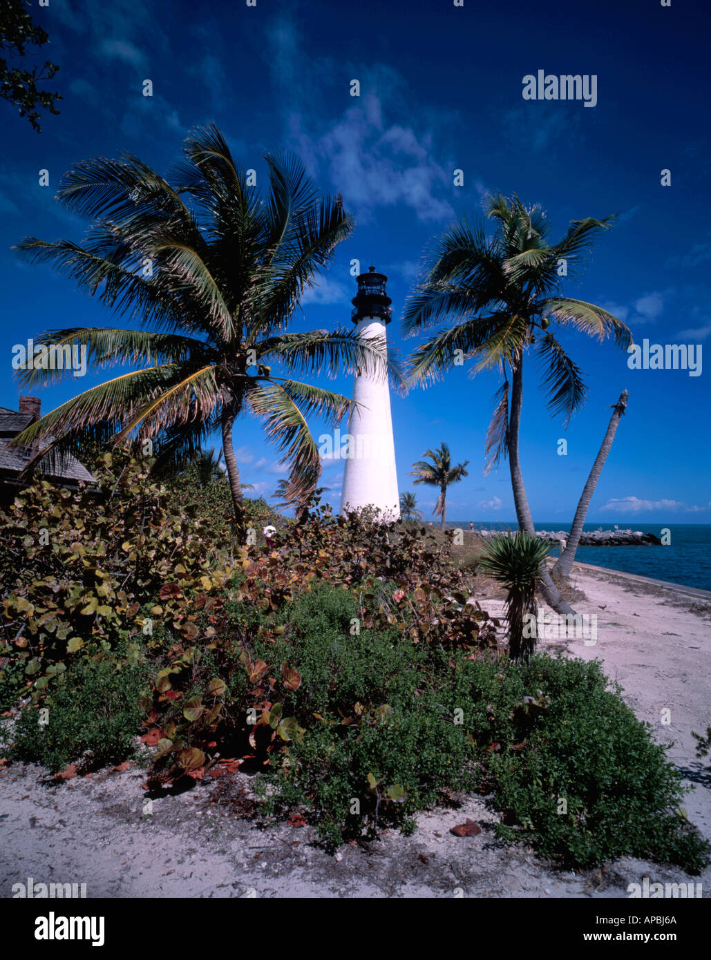 Cape Florida Lighthouse im Staatspark Bill Baggs Key Biscayne, Miami Florida USA Stockfoto
