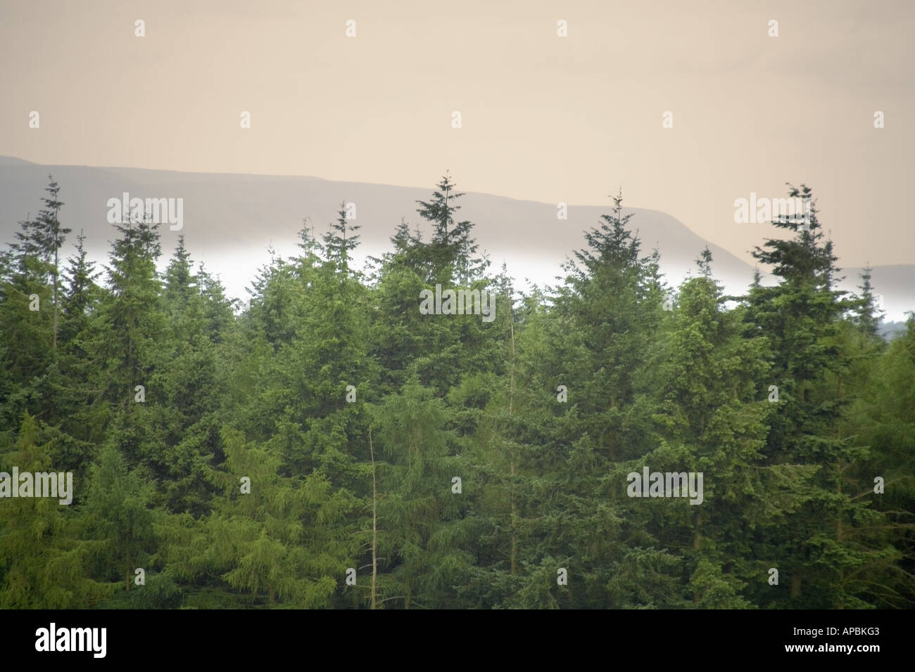 Blick vom Offas Dyke Langstrecken Fußweg Hergest Ridge herefordshire Stockfoto