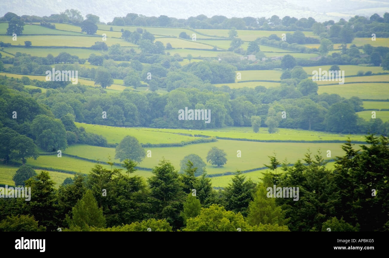 Blick vom Offas Dyke Langstrecken Fußweg Hergest Ridge herefordshire Stockfoto