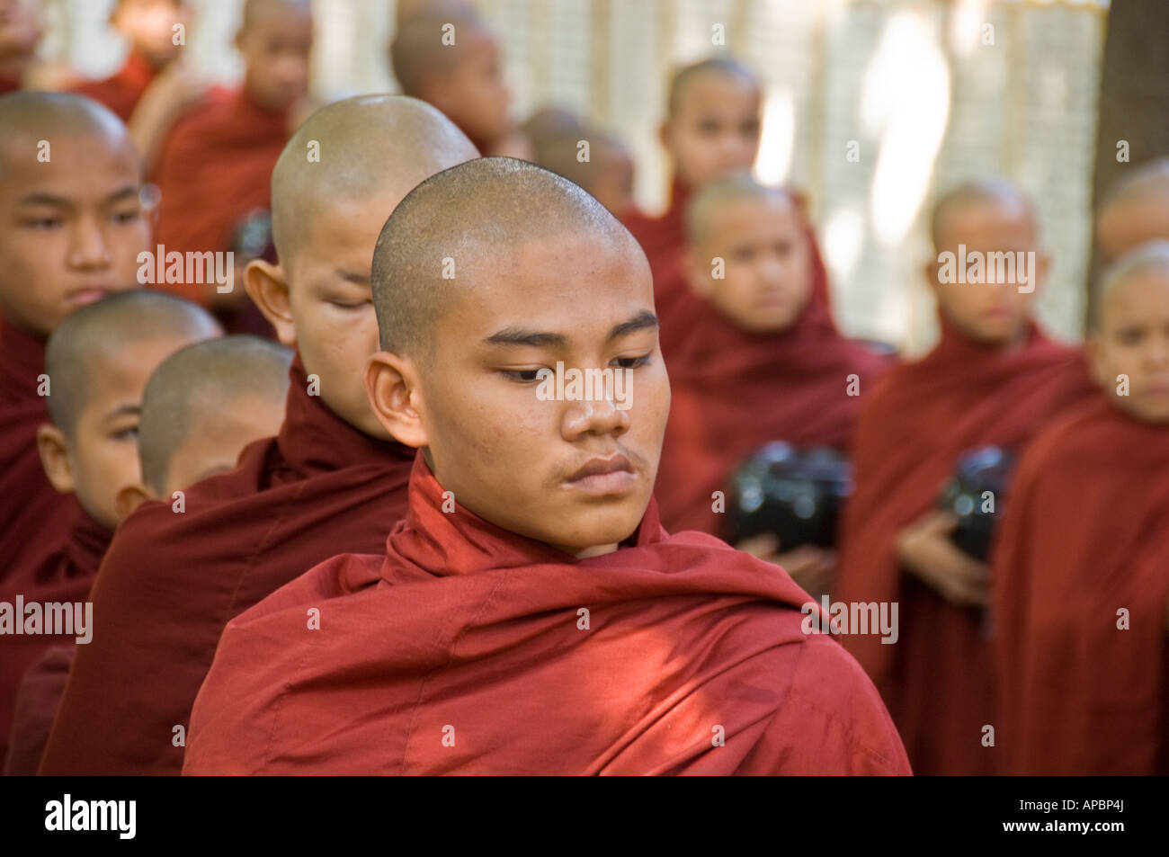 Novize in der Schlange für das Mittagessen am Maha Gandhayon Kyaung Kloster in Amarapura, Birma. Stockfoto