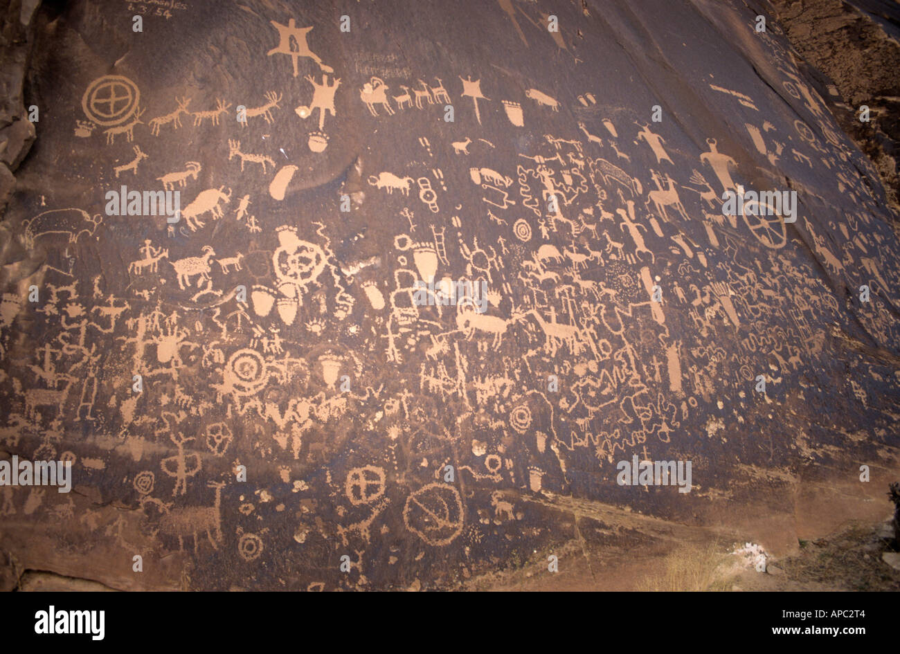 Indianische Petroglyphen an Zeitung Rock, Utah, USA Stockfoto