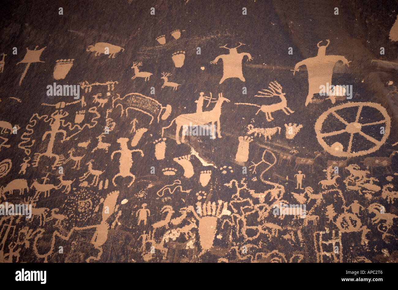Indianische Petroglyphen an Zeitung Rock, Utah, USA Stockfoto