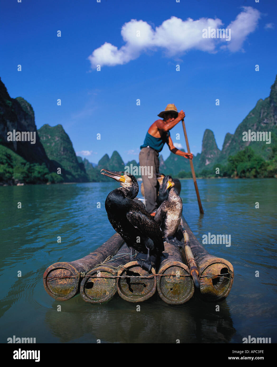 Chinesische Fischmenschen Angeln mit Kormoran am Fluss Li Guilin Stockfoto