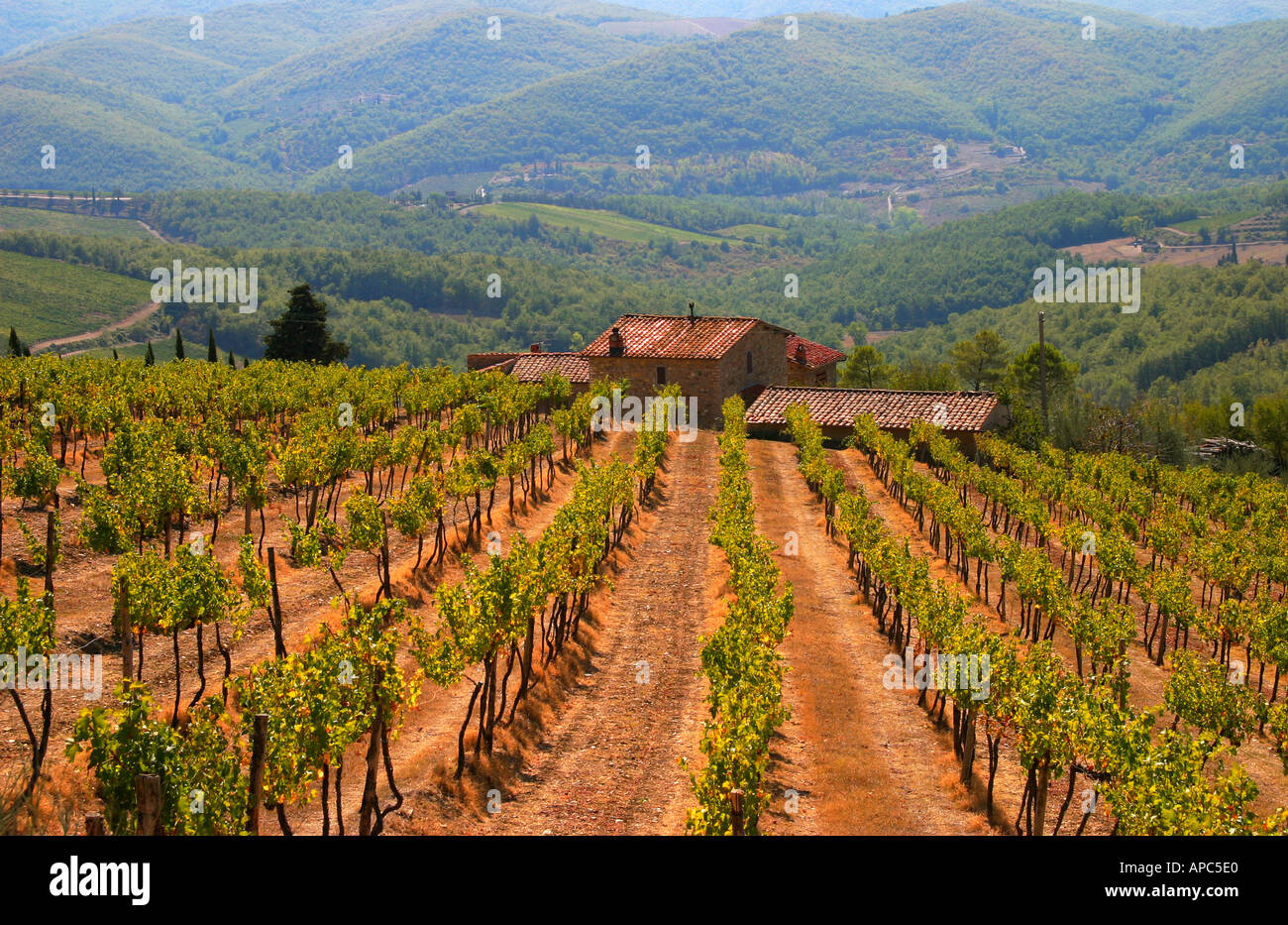 Toskanischen Weingut Weingut Stockfoto