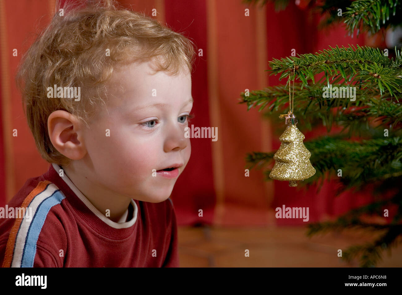 Ein kleiner Junge sucht am Weihnachtsbaum Stockfoto