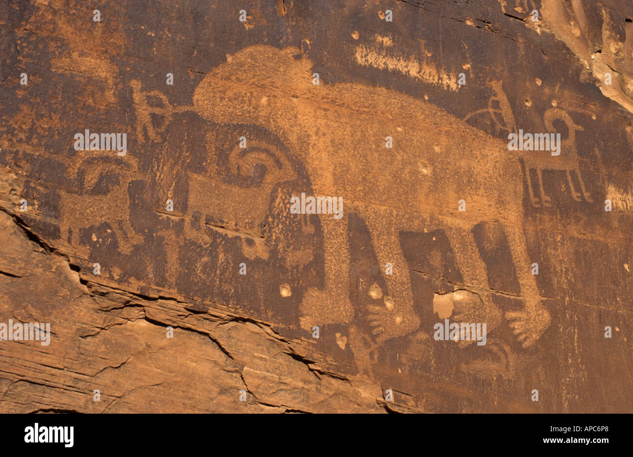 Indische oder indianische Felszeichnungen, Colorado River Canyon in der Nähe von Moab, Utah, USA Stockfoto