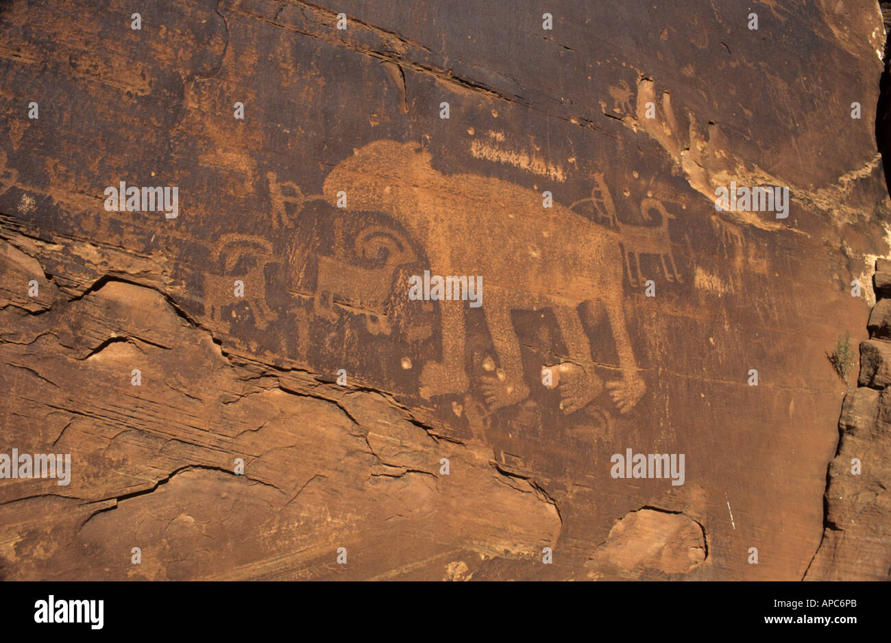 Indische oder indianische Felszeichnungen, Colorado River Canyon in der Nähe von Moab, Utah, USA Stockfoto