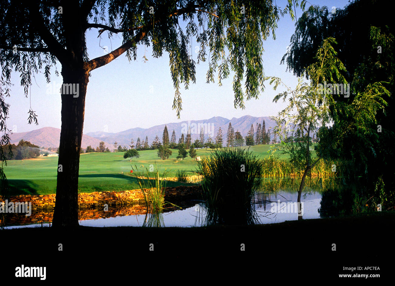 Golfplatz Mijas Costa del Sol Spanien Andalusien Stockfoto