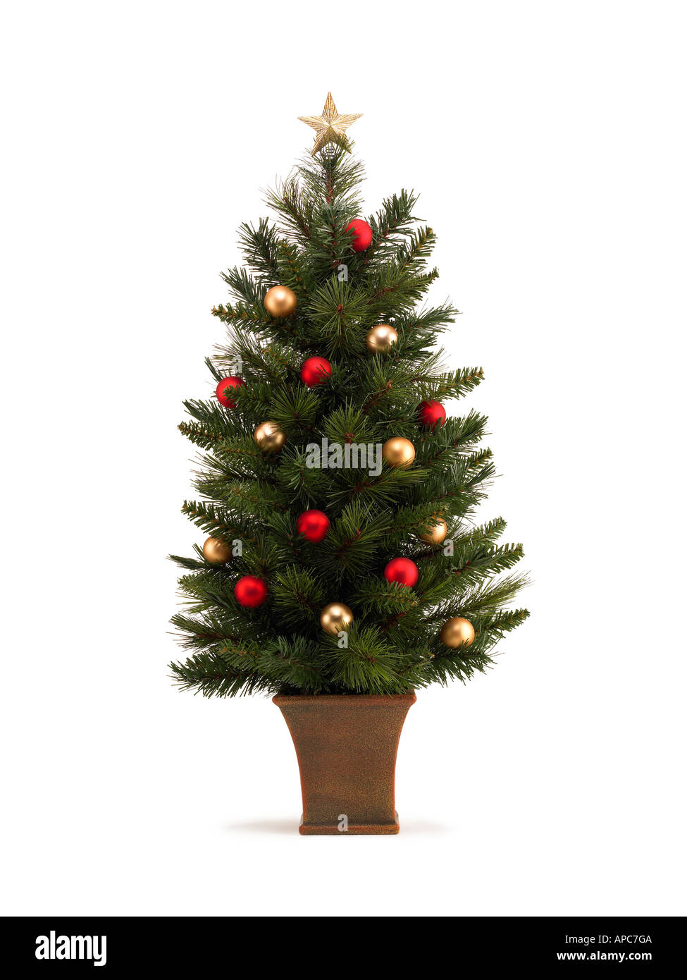 kleiner Weihnachtsbaum auf weißem Hintergrund Stockfoto