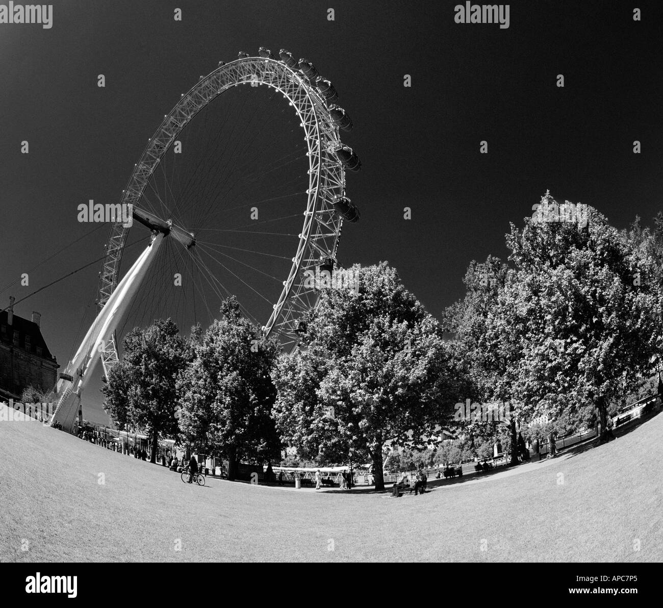 Millenium Wheel London Stockfoto