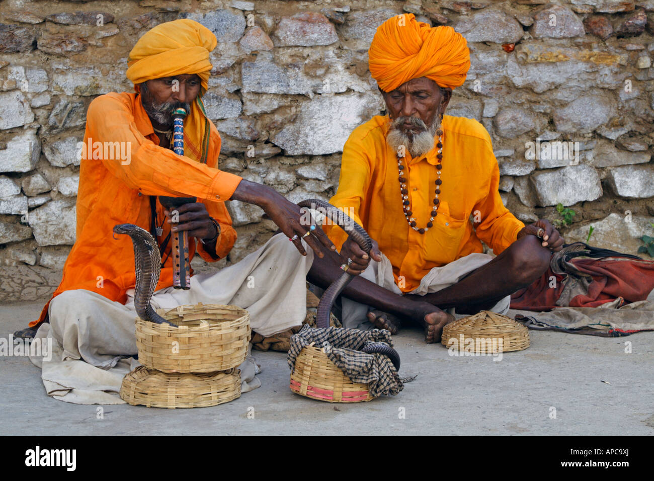 Porträt von zwei alten indischen Schlangenbeschwörer mit ihren Cobras Stockfoto
