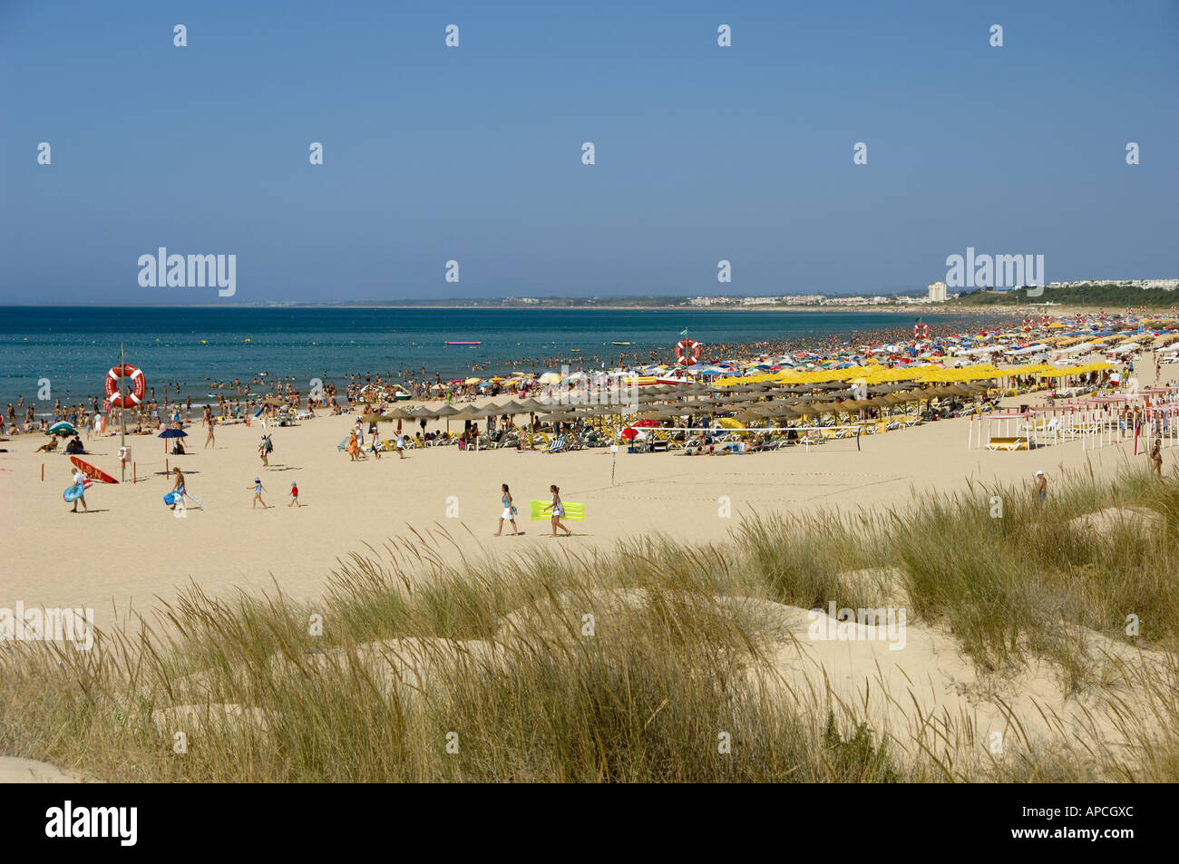 Monte Gordo Strand im Sommer Stockfoto