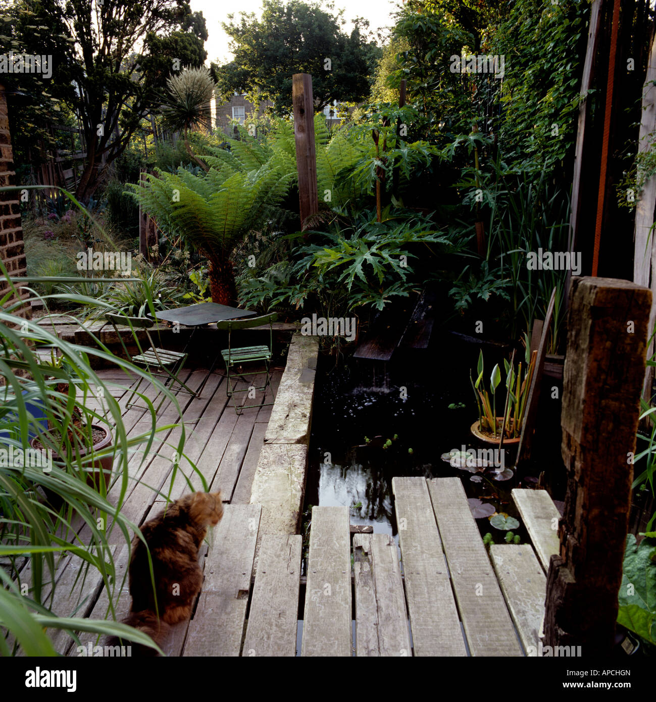 London Garten Mit Holz Mit Yucca Und Niedrig Wachsenden New