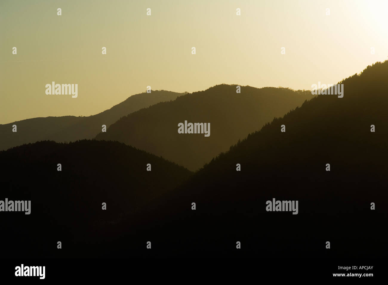Sonnenuntergang in Fragrant Hills Park in den westlichen Hügeln Peking-China Stockfoto