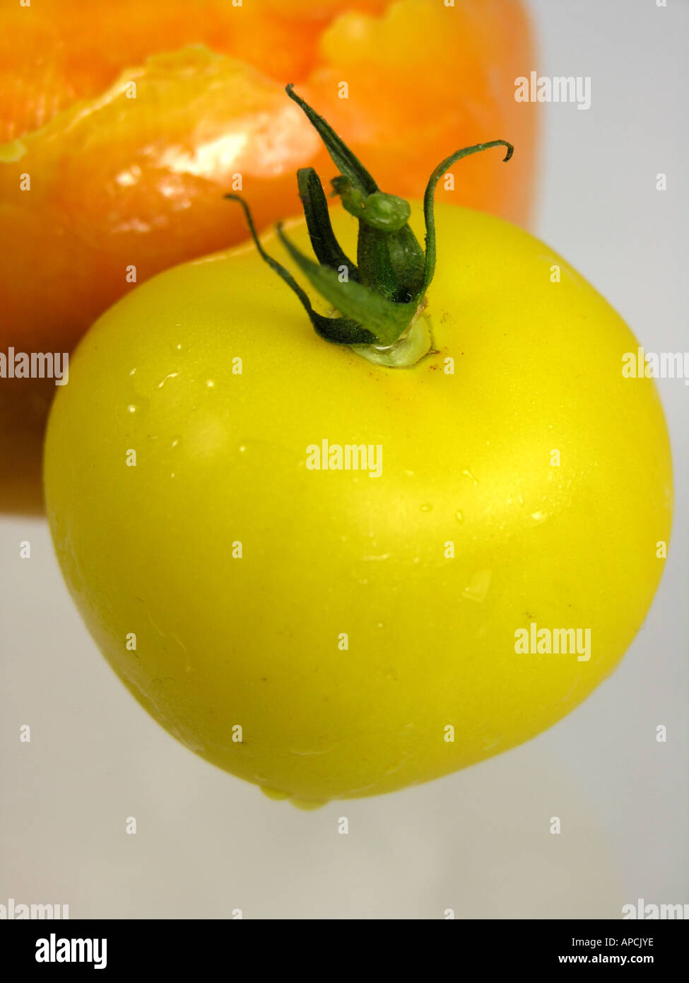 Tomate niederlande -Fotos und -Bildmaterial in hoher Auflösung - Seite ... Tomate niederlande -Fotos und -Bildmaterial in hoher Auflösung - Seite ...