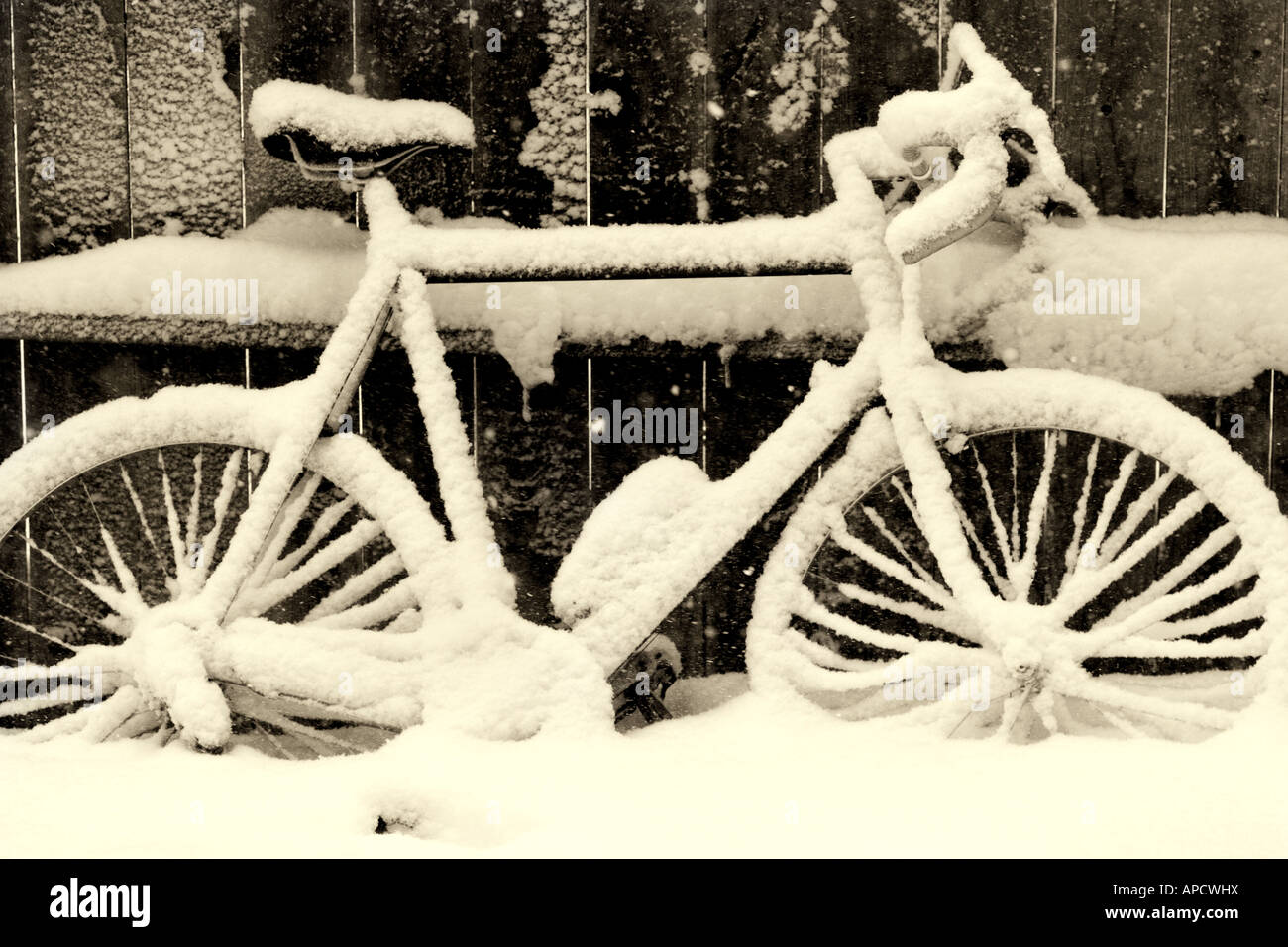 Ein Fahrrad mit Schnee neben einem Zaun bedeckt. Stockfoto