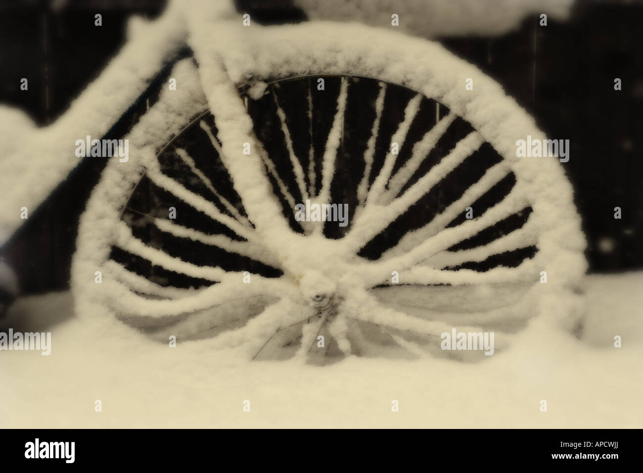 Ein Fahrrad mit Schnee neben einem Zaun bedeckt. Stockfoto
