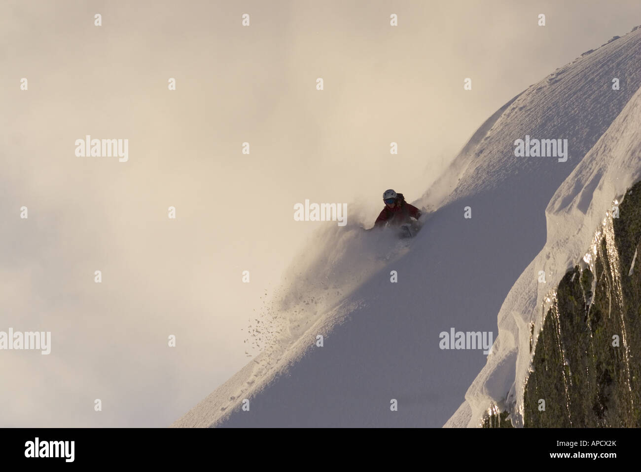 Eine Frau Skifahren Pulverschnee in den frühen Morgenstunden auf Donner Gipfel in der Nähe von Lake Tahoe in Kalifornien Stockfoto