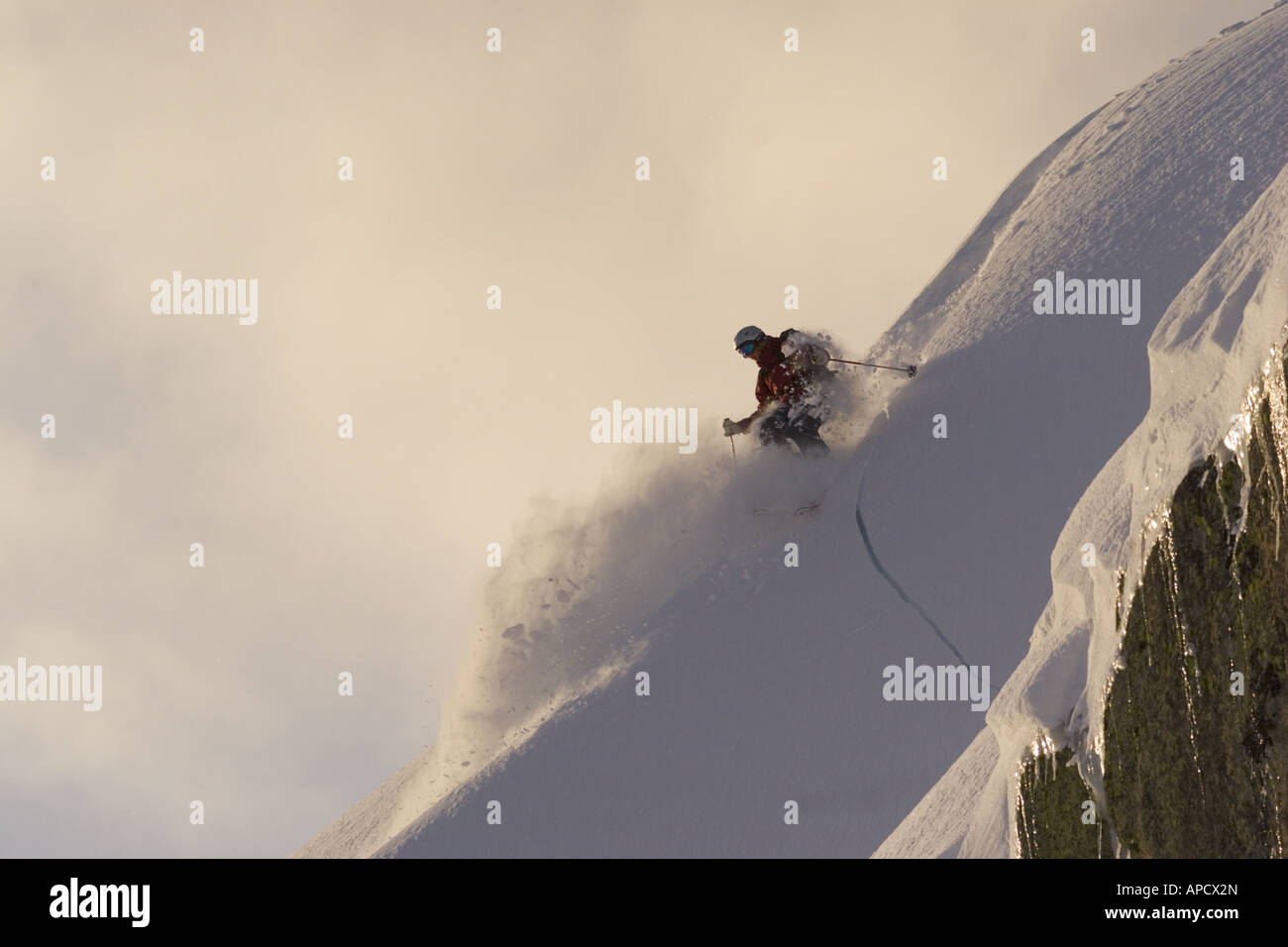 Eine Frau Skifahren Pulverschnee in den frühen Morgenstunden auf Donner Gipfel in der Nähe von Lake Tahoe in Kalifornien Stockfoto