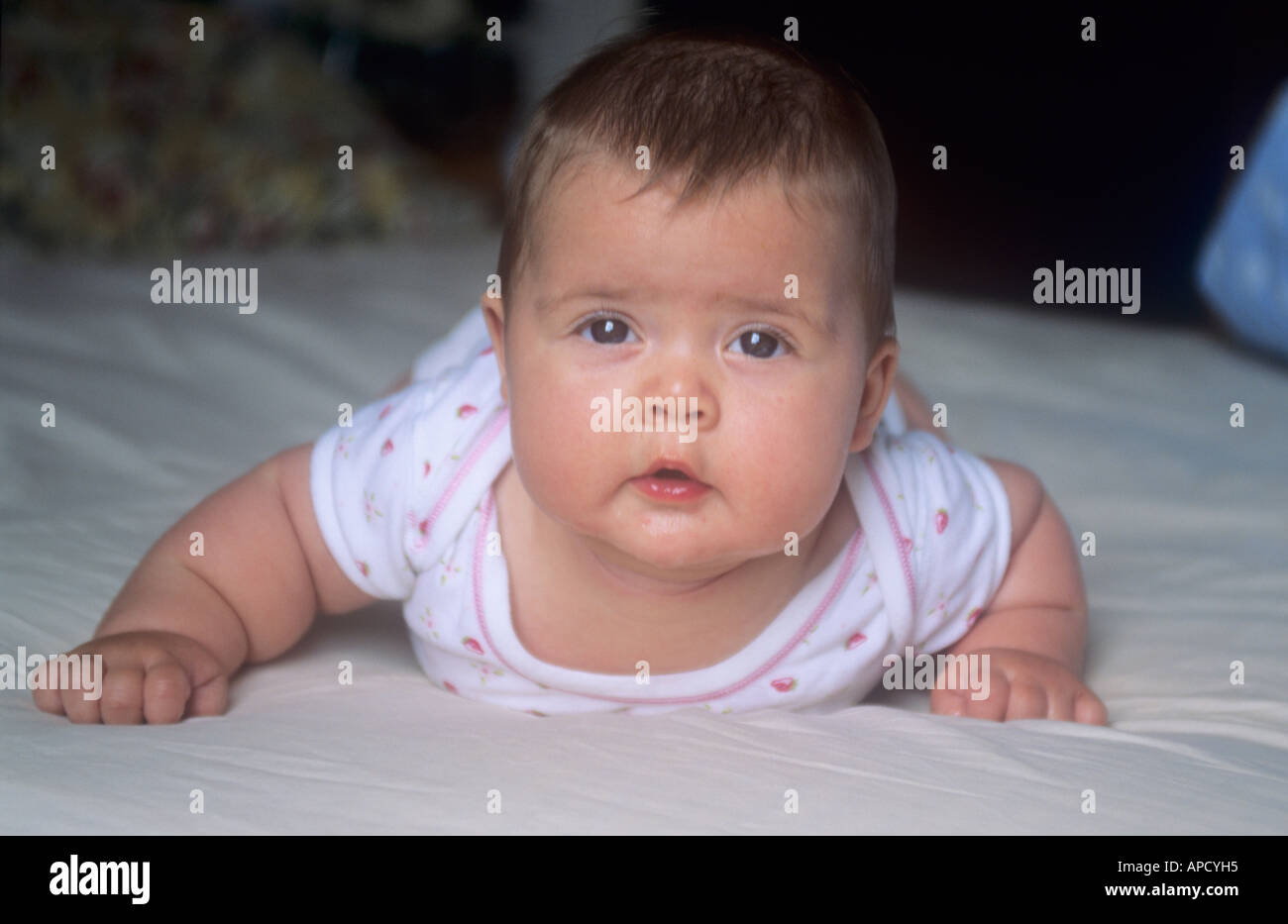 Babymädchen, 6 Monate alt, auf Bauch liegend Stockfoto