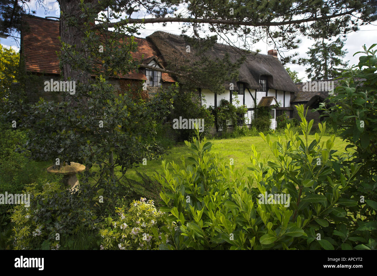 Reetgedeckte Landhaus, Cleeve Prior, Worcestershire, England, UK Stockfoto