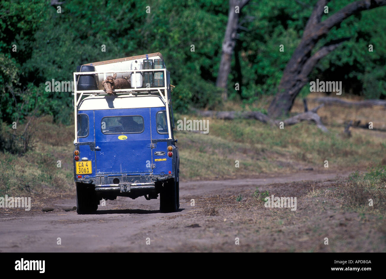 Afrika Botswana Chobe Natl Park Herr Antonia Marke Mike Horgan fahren 73 Land Rover auf Safari Chobe Fluss entlang Stockfoto