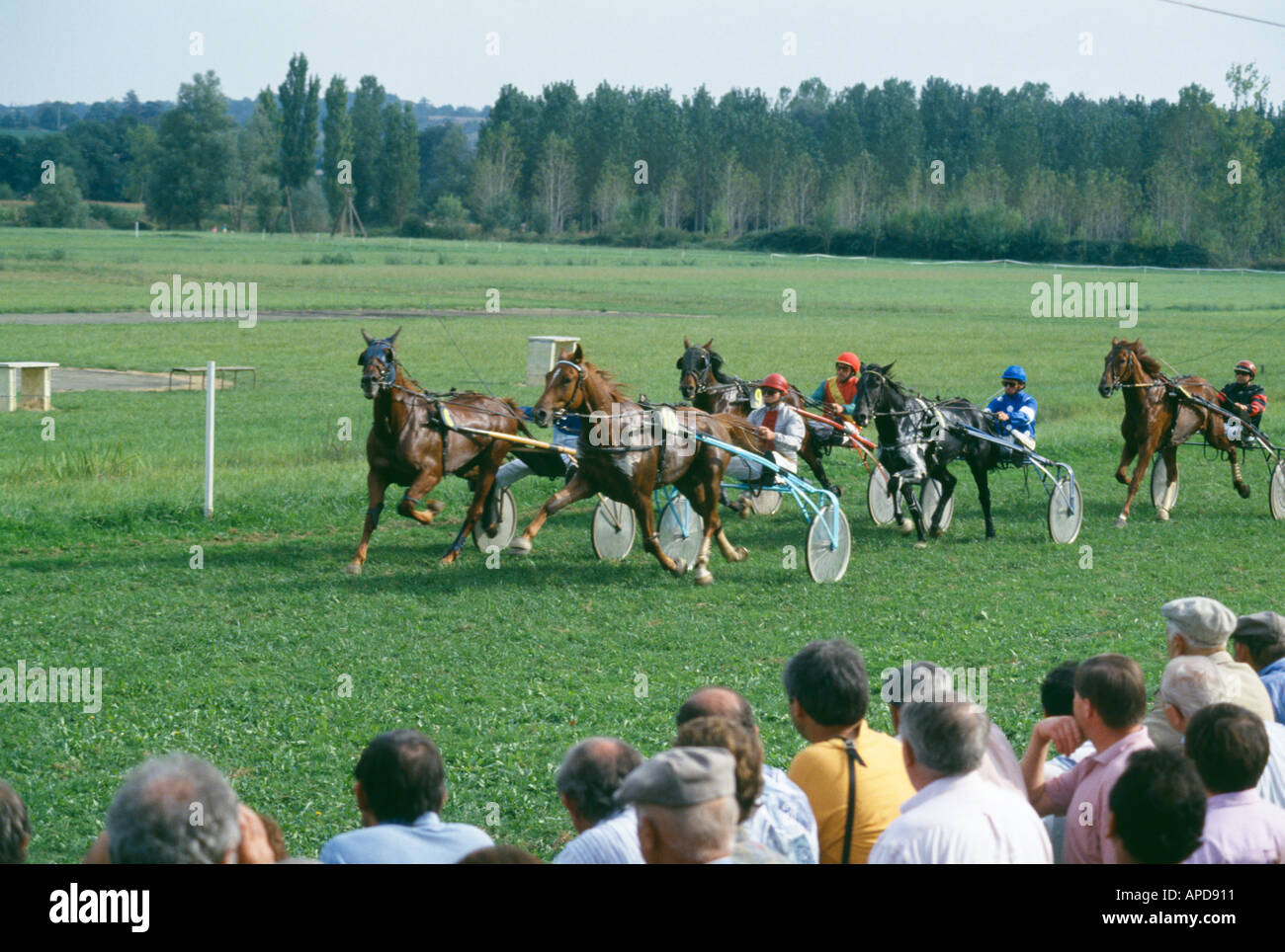 Trab-Rennen auf der Pferderennbahn in Vic Fezensac in Frankreichs Gascogne Stockfoto