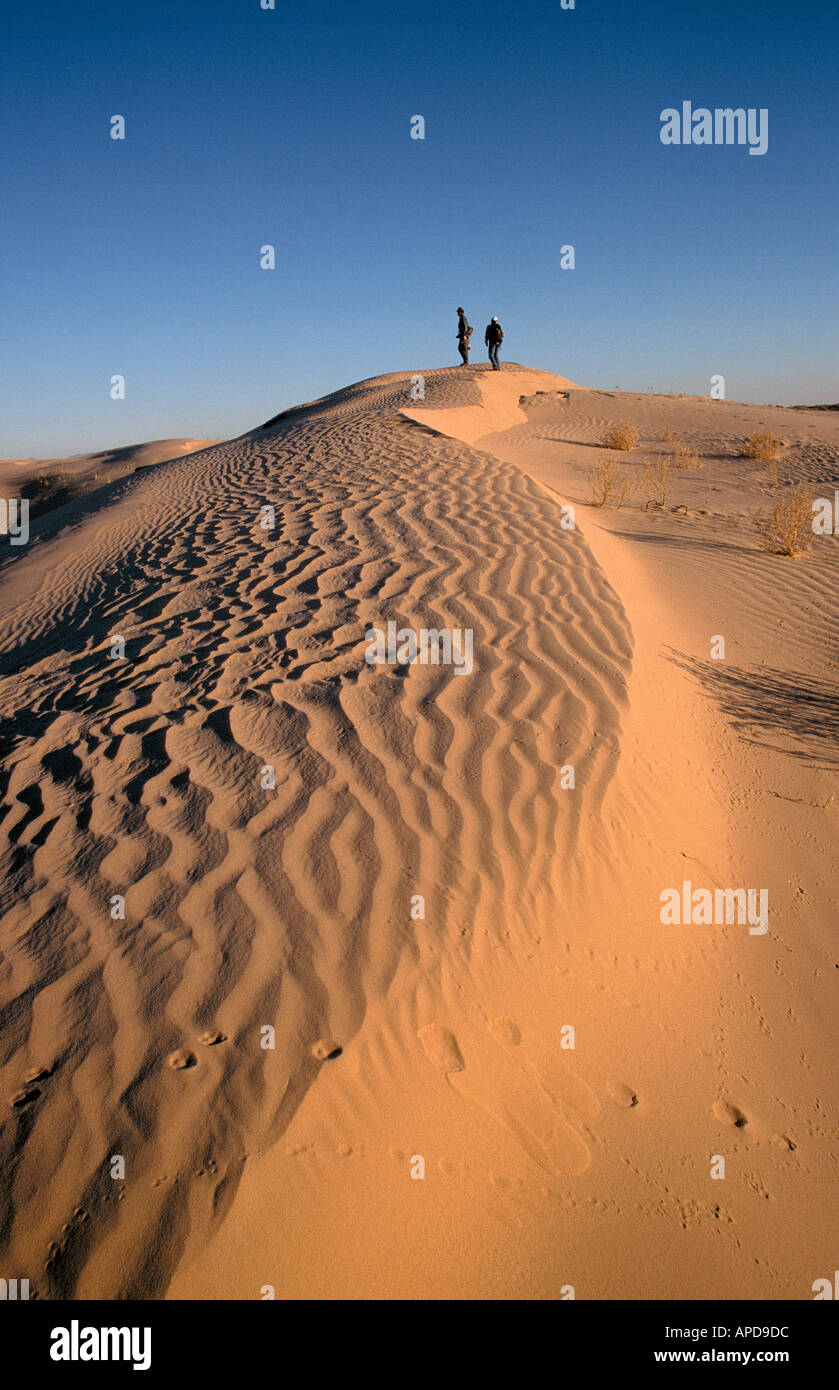 Sanddüne, Chihuahua Wüste, Mexiko Stockfoto