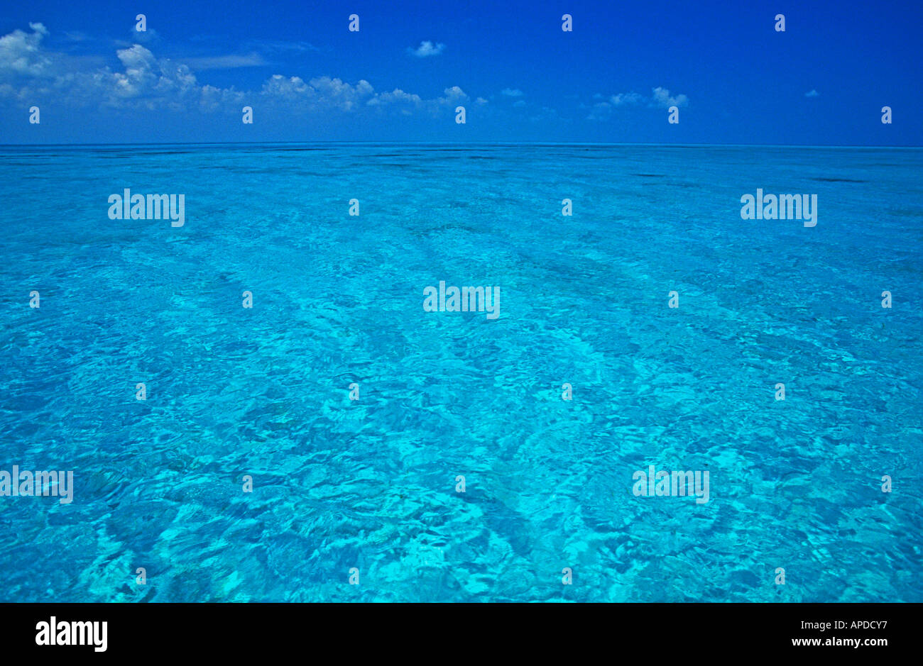 Tropen tropischen Wasser kristallklar sauber Türkis romantische Romantik weißen Sandboden und blauen Himmel dahinter helle Farben Stockfoto