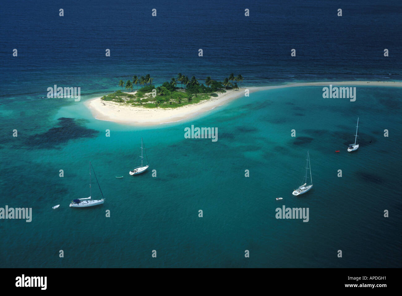 Luftaufnahme von einer kleinen Insel mit Sandstrand, Grenada, Karibik Stockfoto