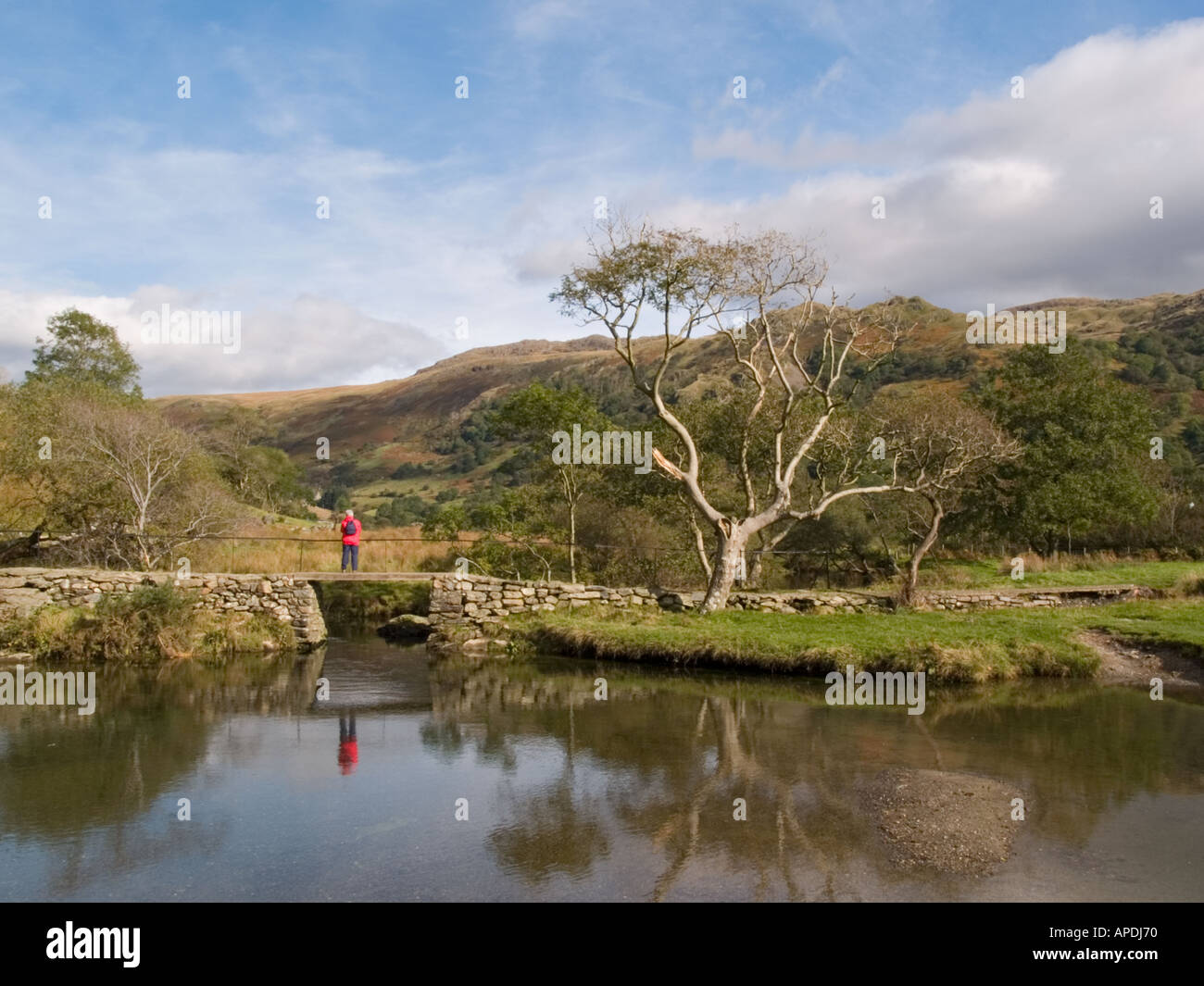Reflexionen im AFON GLASLYN Snowdonia "Nationalpark" Nantgwynant Gwynedd Nordwales UK Stockfoto