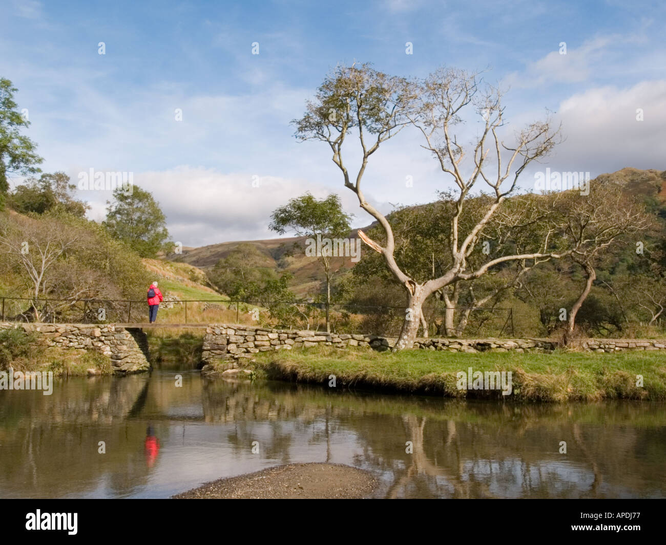 Reflexionen in AFON GLASLYN Snowdonia "Nationalpark" Nantgwynant Gwynedd Nordwales Stockfoto