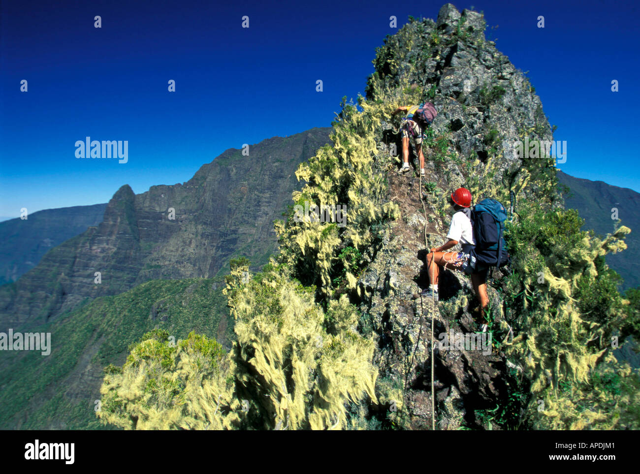 Piton Kapor in Enclose Foque, Ille De La Réunion indischen Ozean Stockfoto