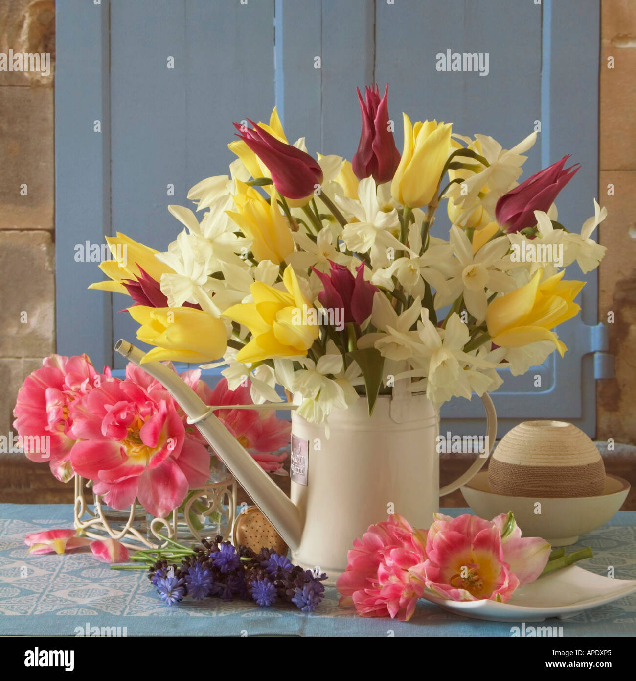 Blumen-Arrangement gegen shuttered Fenster mit Tulpen, Narzissen, Vergissmeinnicht und Muscari Stockfoto