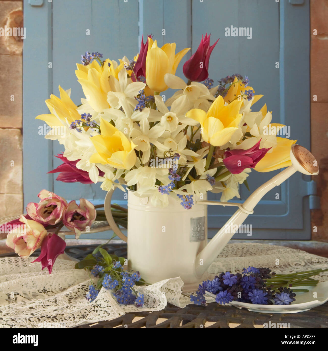 Blumen-Arrangement gegen shuttered Fenster mit Tulpen, Narzissen, Vergissmeinnicht und Muscari Stockfoto